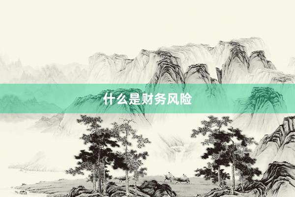 什么是财务风险